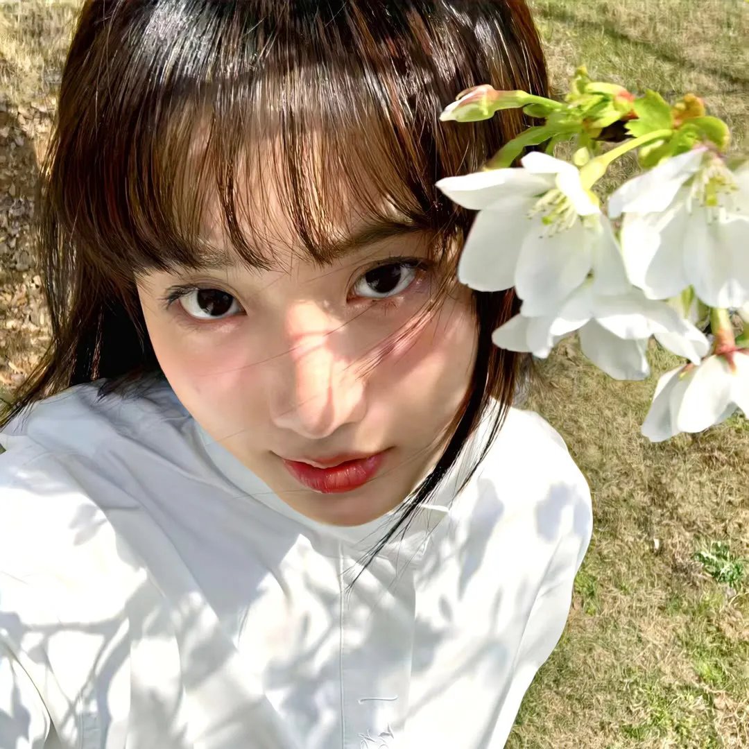 君是慕容卿似花